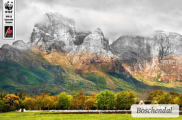 Boschendal