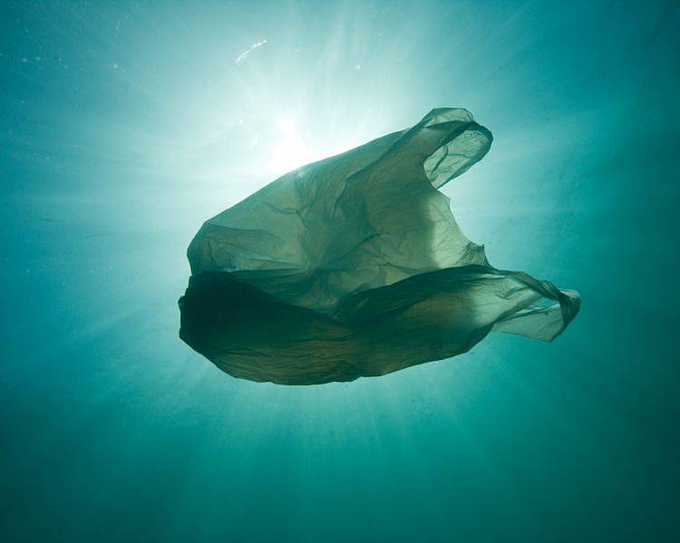 WWF Plastic File #1: living in a plastic age