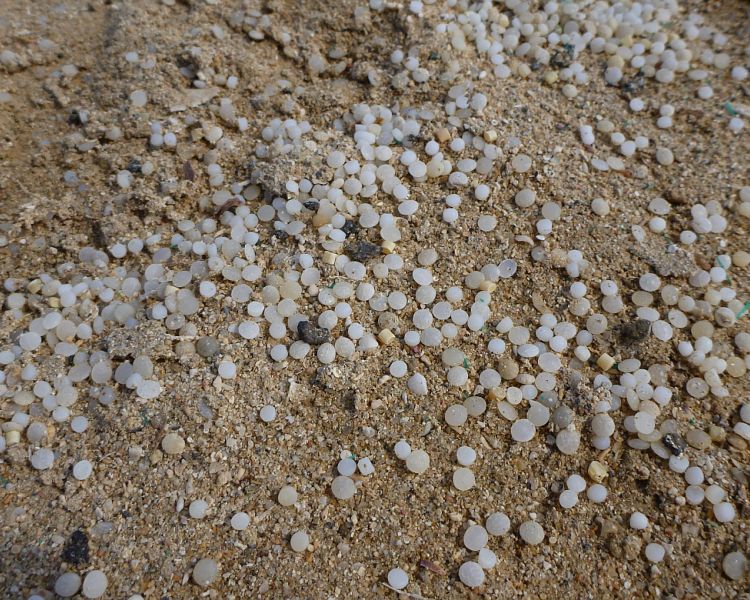 WWF Plastic File #3: microplastics are everywhere