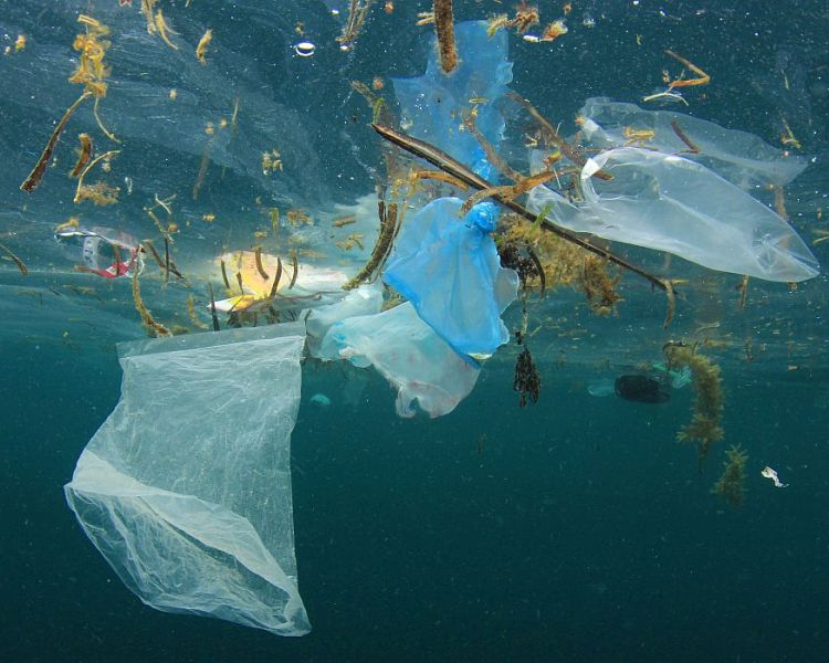 WWF Plastic File #2: stop using single-use plastics