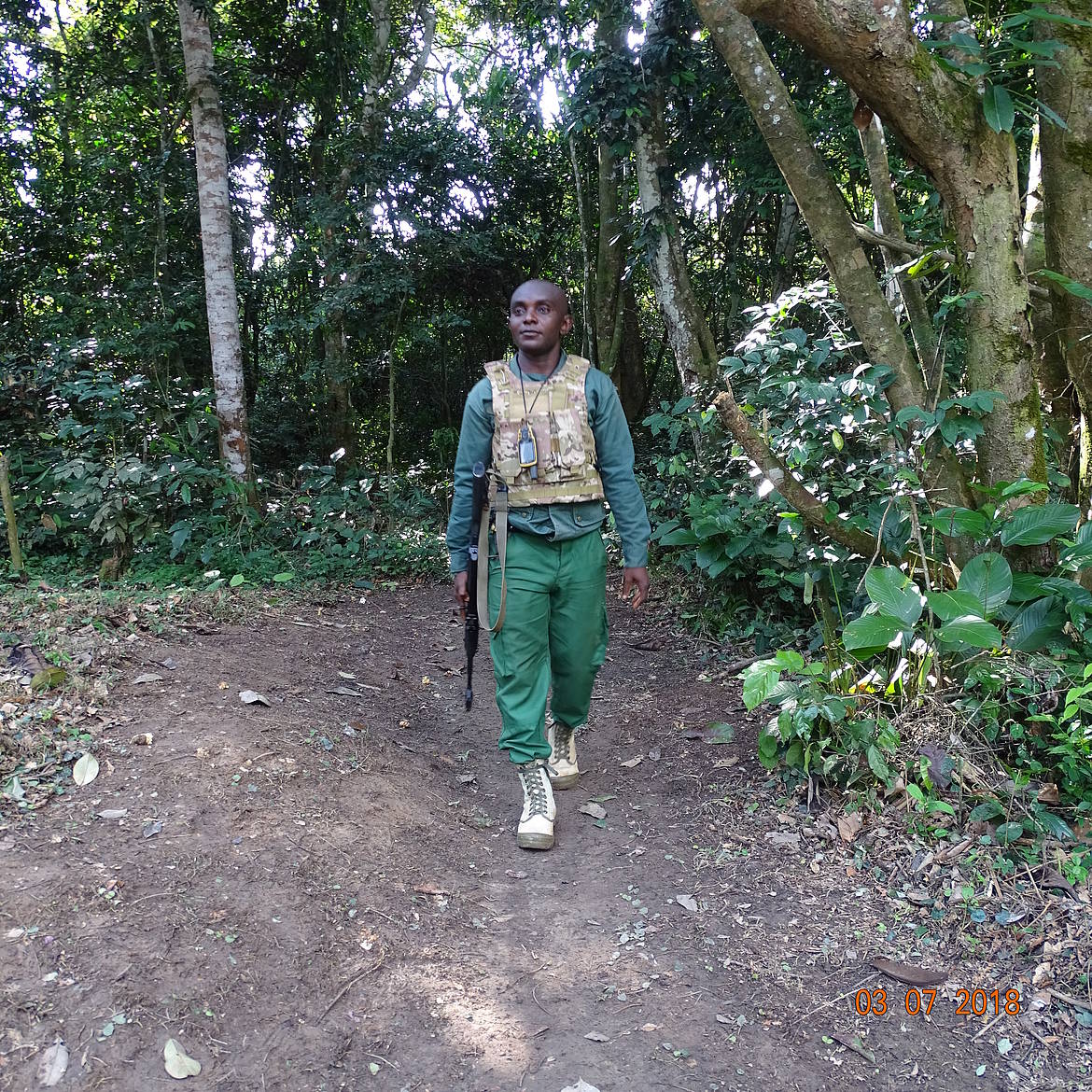 Largest ever survey on wildlife rangers unearths severe lack of basic ...
