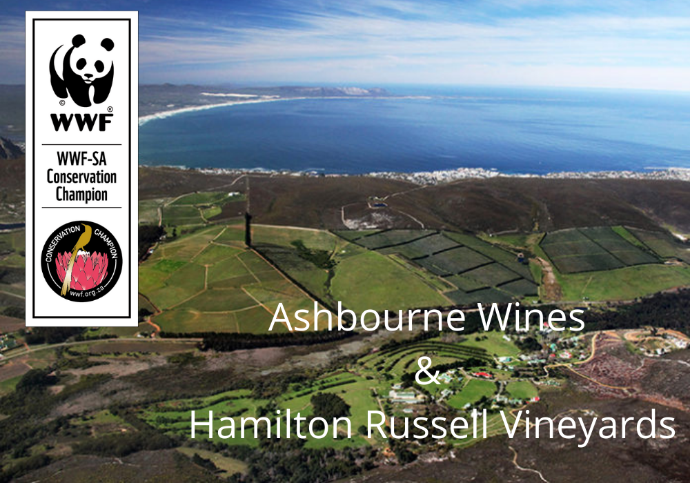 Ashbourne Wines and Hamilton Russell Vineyards WWF South Africa