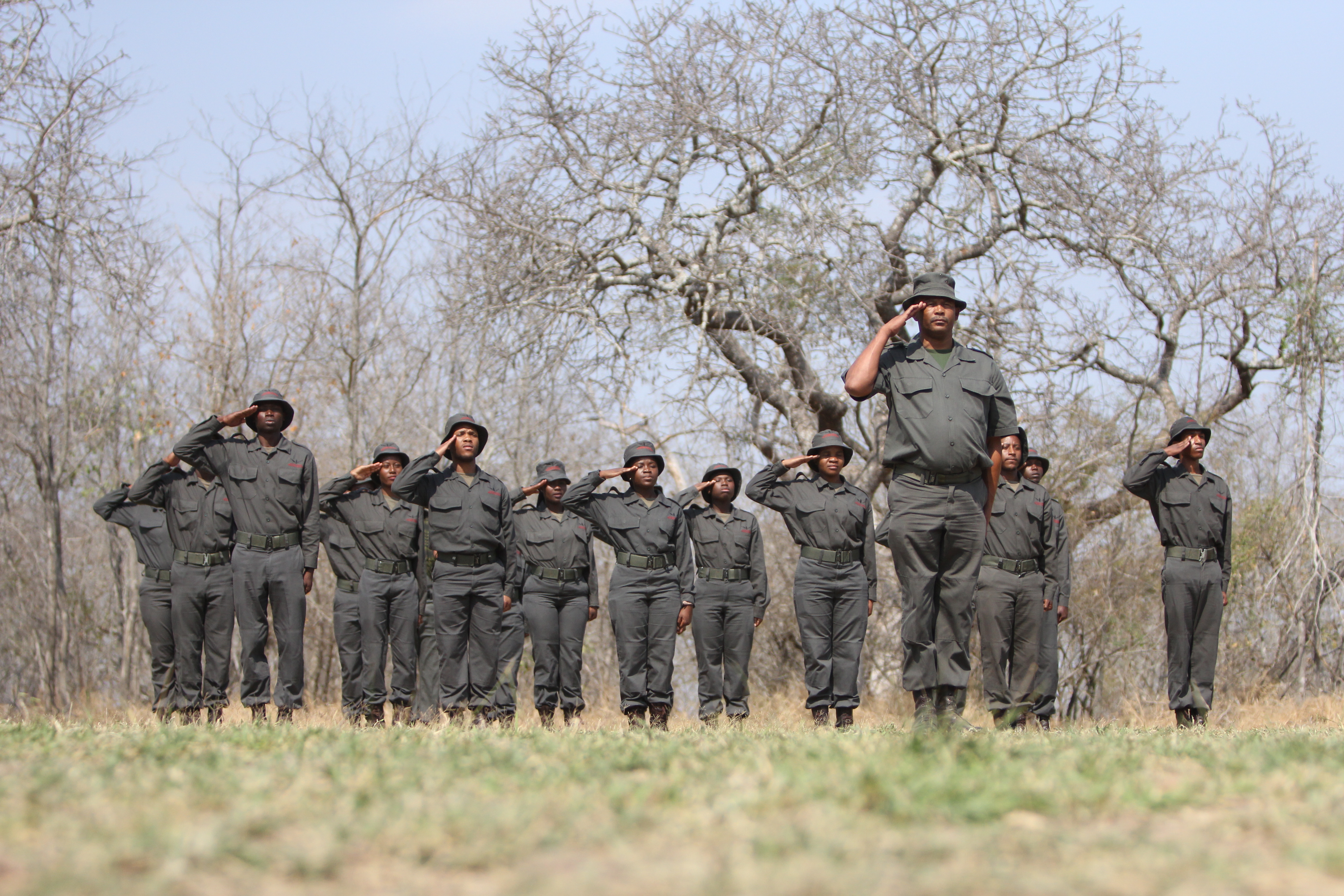 South African Forest Ranger Ranks Fostering opportunities and leadership in rangers | WWF South Africa