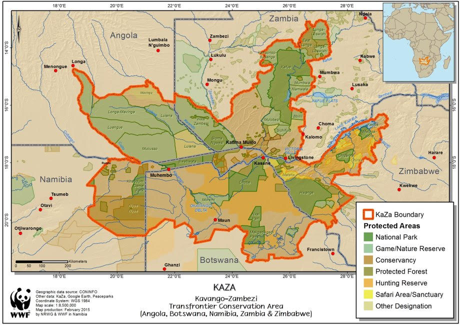 KAZA: How a Shared Vision for Conservation Became the World's