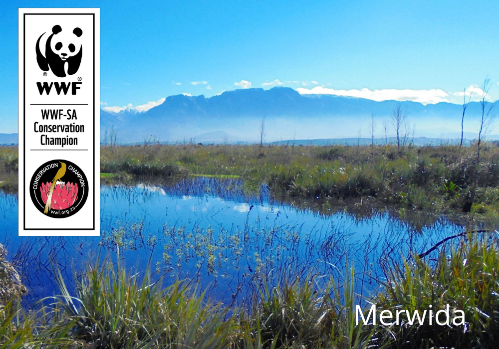 Merwida Wines WWF South Africa