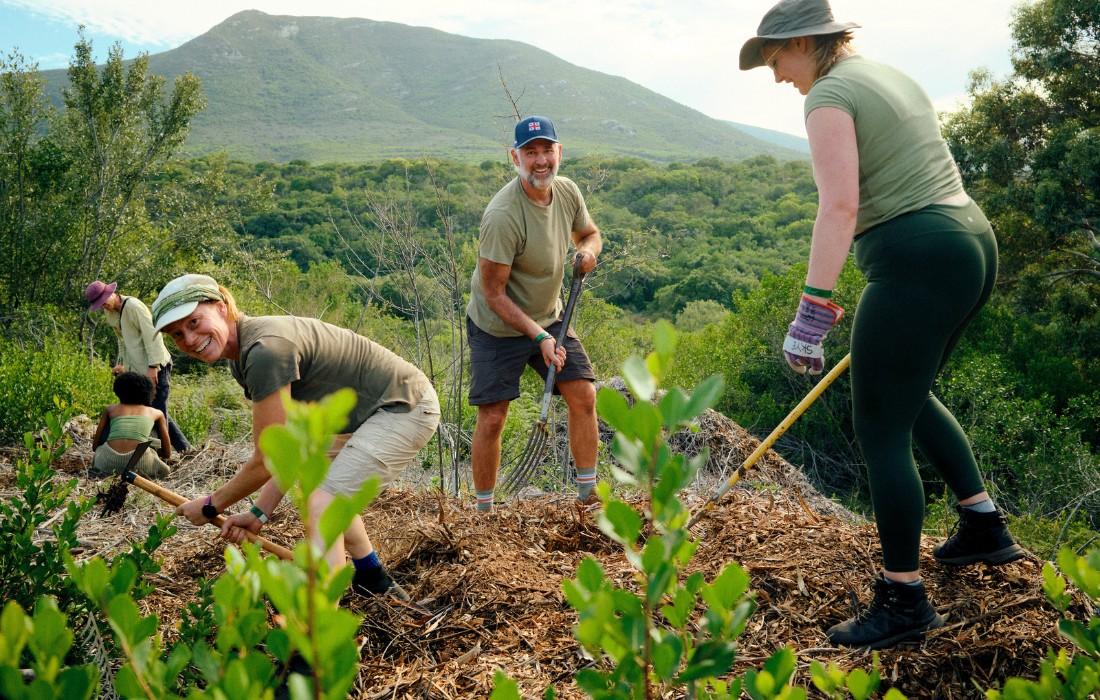 Reconnecting Tree Five inspiring ways to reconnect with nature in 2026 | WWF South Africa