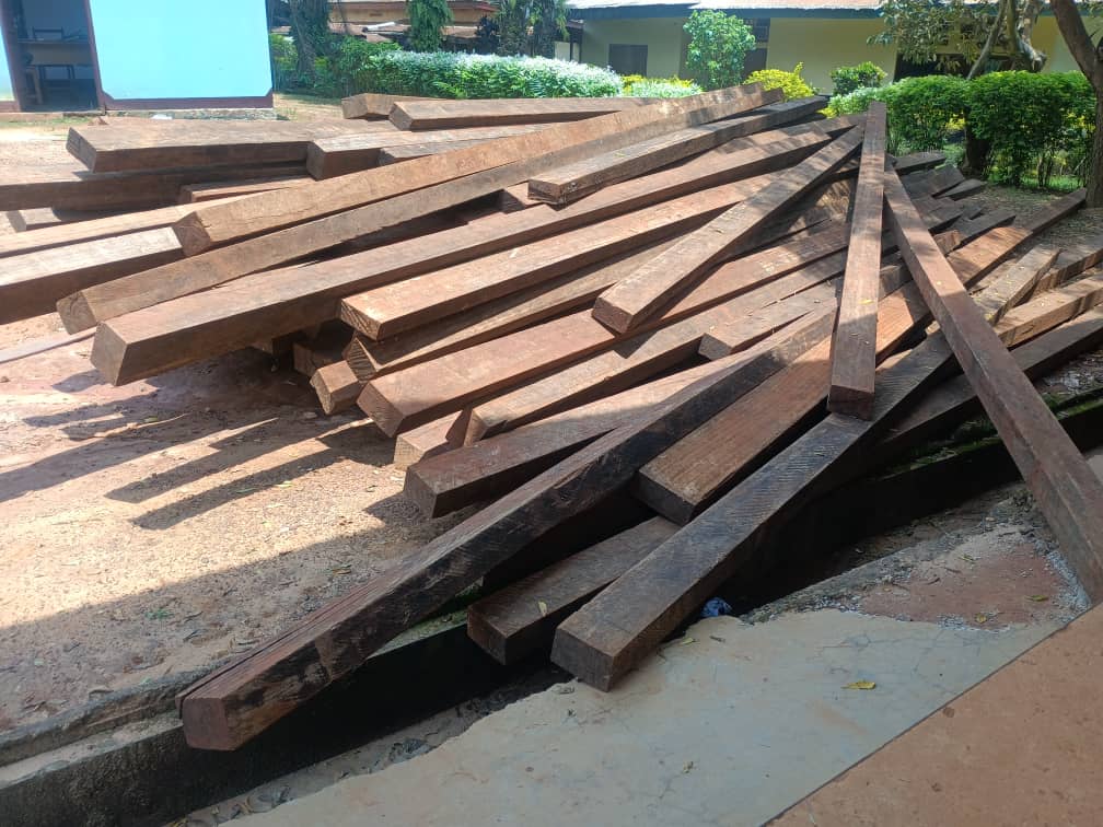 Seize Timber A New Code and Stronger Protections Boost Cameroon’s Fight Against ...