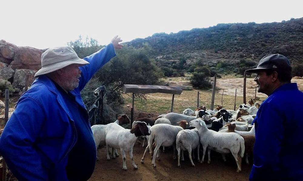 Kamiesberg farmers